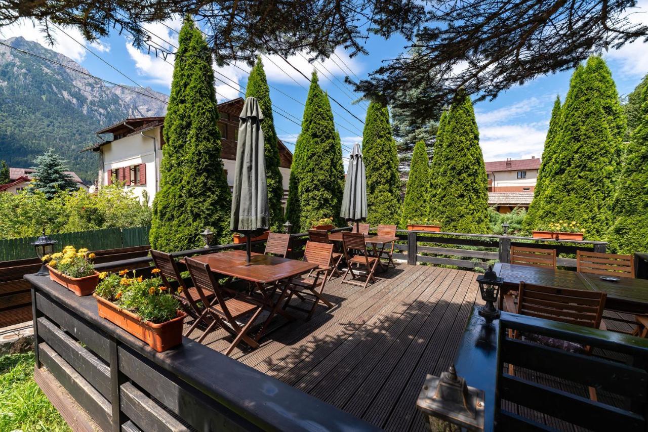 Casa Freya Hotel Szászbuda Kültér fotó